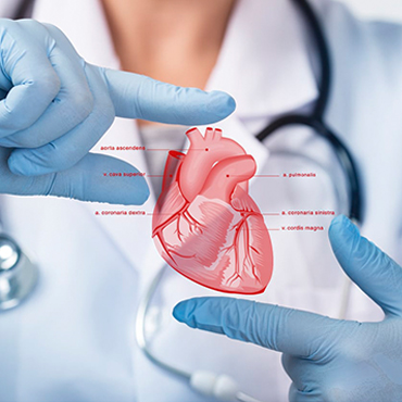 Tissue Engineering