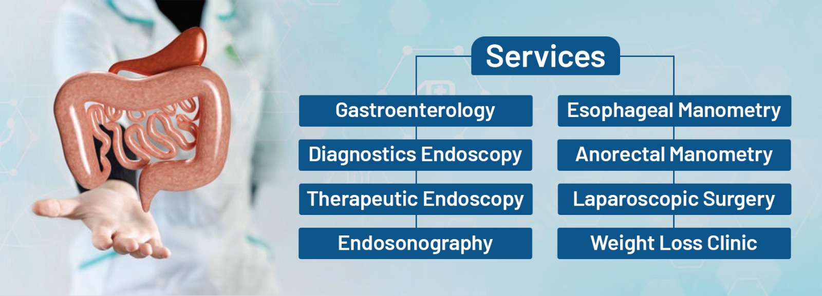 gastroenterology