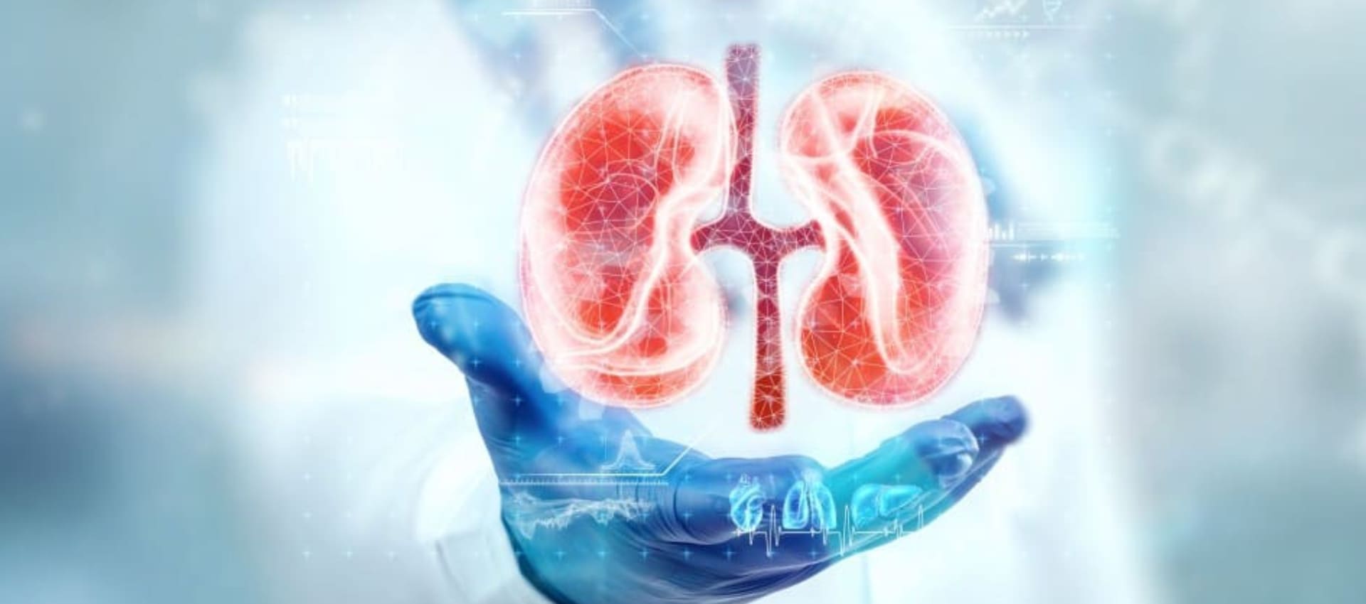 nephrology